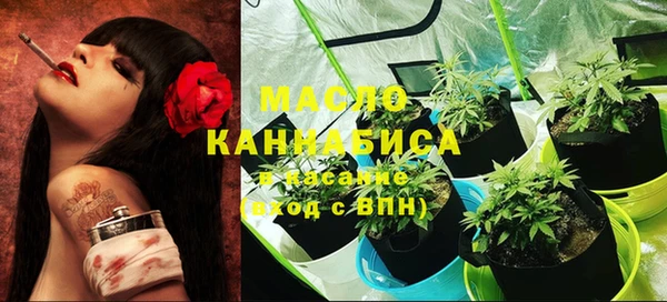 мет Арсеньев
