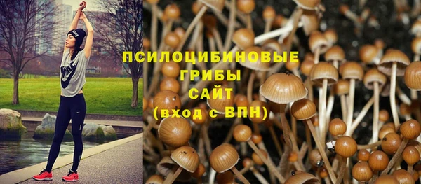 стафф Армянск